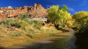 Top 100 Full HD Nature and Landscape Desktop Wallpapers for 2023 - image 33