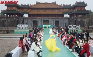 Miss Cosmo 2025: 72 Global Beauties Gather in the Historic City of Hue for a Cultural Showcase - image 4