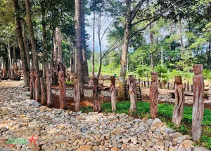 Exploring the Mang Den Art Garden: A Cultural Gem in Vietnam - image 3