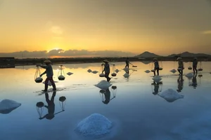 Escape the Crowds: Discovering Nha Trang’s Untouched Natural Beauty - image 4
