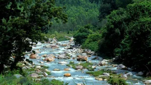 Escape the Crowds: Discovering Nha Trang’s Untouched Natural Beauty - image 2