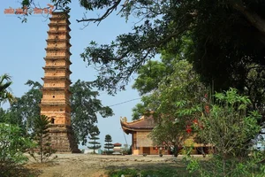 Timeless Beauty of Binh Son Tower - Vietnam's Ancient Buddhist Architectural Masterpiece - image 3