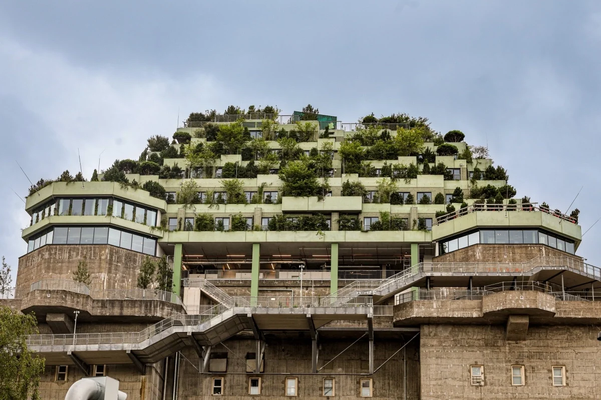 From War Relic to Green Oasis: The Transformation of Hamburg's St. Pauli Bunker