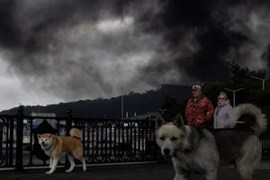 Tuapse Environmental Crisis: Oil Spills and Cleanup After Drone Attacks - image 9