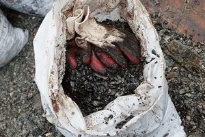 Tuapse Environmental Crisis: Oil Spills and Cleanup After Drone Attacks - image 0