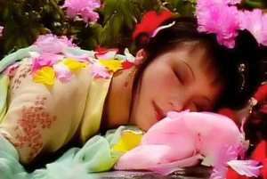 Top 10 Beauties of Dream of the Red Chamber: Why Lin Daiyu Might Not Be Number One - image 2