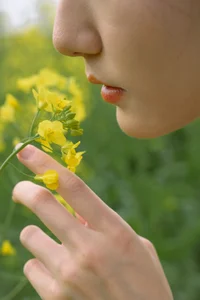 Ethereal Beauty: Xiao Yue Amidst Rapeseed Blooms in Art Language Vol.8948 - image 13