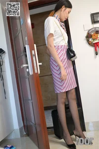 IESS Silk Leg Model Series: Living with a Flight Attendant Narrative - image 4