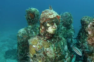 Exploring the Mystical Underwater Statue Forest: A Unique Submerged Art Gallery - image 3