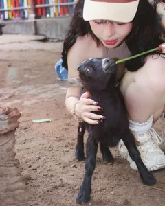 Viral Zoo Fashion: Identifying the Influencer in the Bold Summer Look - image 1