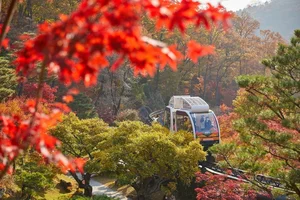 5 Secret Autumn Spots in South Korea for Stunning Fall Foliage - image 4