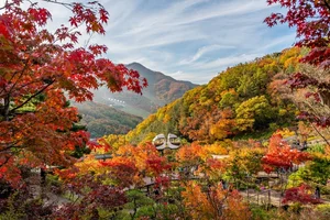 5 Secret Autumn Spots in South Korea for Stunning Fall Foliage - image 9