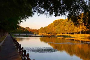 5 Secret Autumn Spots in South Korea for Stunning Fall Foliage - image 1