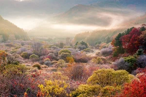 5 Secret Autumn Spots in South Korea for Stunning Fall Foliage - image 2