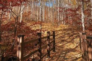 5 Secret Autumn Spots in South Korea for Stunning Fall Foliage - image 8