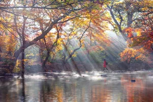 5 Secret Autumn Spots in South Korea for Stunning Fall Foliage - image 6