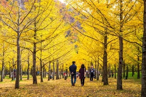 5 Secret Autumn Spots in South Korea for Stunning Fall Foliage - image 0