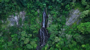 Bidoup Nui Ba Trekking: A Soulful Journey Through Vietnam’s Misty Ancient Forests and Mossy Trails - image 2