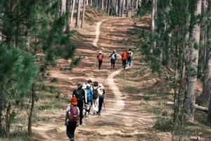 Bidoup Nui Ba Trekking: A Soulful Journey Through Vietnam’s Misty Ancient Forests and Mossy Trails - image 6