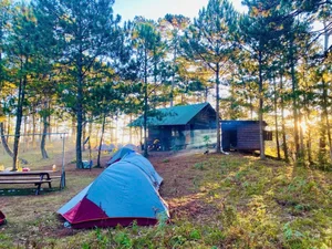Bidoup Nui Ba Trekking: A Soulful Journey Through Vietnam’s Misty Ancient Forests and Mossy Trails - image 3