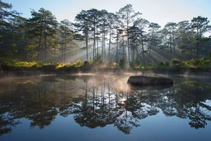 Bidoup Nui Ba Trekking: A Soulful Journey Through Vietnam’s Misty Ancient Forests and Mossy Trails - image 5