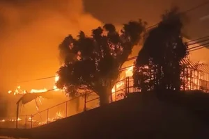 Los Angeles Wildfires: The Impact on Iconic Landmarks and Communities - image 7