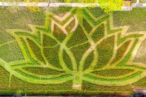 Stunning Giant Lotus Flower Installation at Hue Imperial City: A Vibrant Lunar New Year Celebration in Vietnam - image 0