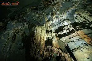 Phong Nha Cave: Discover the Magical Stalactite Wonders of Vietnam's World Heritage Site - image 5