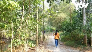 Explore Tuyet Son Cave: A Spiritual Trekking Journey Through Huong Pagoda's Ancient Apricot Forest - image 3