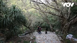 Explore Tuyet Son Cave: A Spiritual Trekking Journey Through Huong Pagoda's Ancient Apricot Forest - image 6