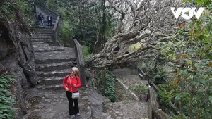Explore Tuyet Son Cave: A Spiritual Trekking Journey Through Huong Pagoda's Ancient Apricot Forest - image 5
