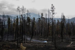 The Horror of Nature: Famous Tourist Destination Destroyed by Unstoppable Forest Fires - image 6