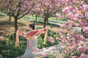 Timeless Elegance: YiTuYu Art Language Vol.6816 Yang Yang - image 15