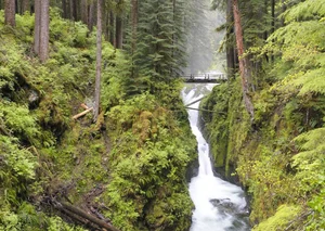 Discovering Big Sur: California’s Breathtaking Paradise Where Rugged Mountains Meet the Pacific Ocean’s Majestic Beauty - image 6