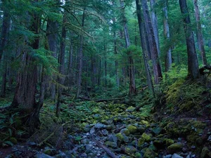 Discovering Big Sur: California’s Breathtaking Paradise Where Rugged Mountains Meet the Pacific Ocean’s Majestic Beauty - image 1