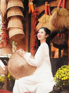 Pure Elegance of White Ao Dai in Traditional Vietnamese Setting - image 4