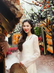 Pure Elegance of White Ao Dai in Traditional Vietnamese Setting - image 2