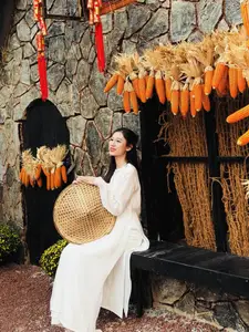 Pure Elegance of White Ao Dai in Traditional Vietnamese Setting - image 9