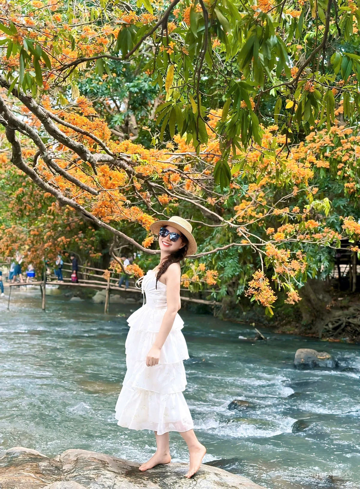 Discover the Radiant Beauty of Ta Ma Stream's Saraca Dives Flowers in Binh Dinh