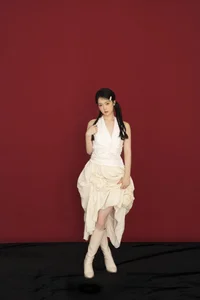 Discovering Artistic Expression in YiTuYu Art Language Vol.5788 with Model Lu Dan - image 13