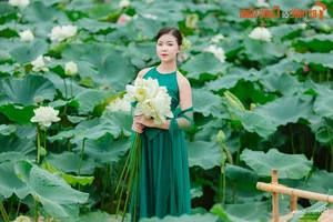 Graceful Beauty Queen in Traditional Yem Dress Amidst Early Season Lotus Blooms - image 4