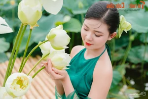 Graceful Beauty Queen in Traditional Yem Dress Amidst Early Season Lotus Blooms - image 3