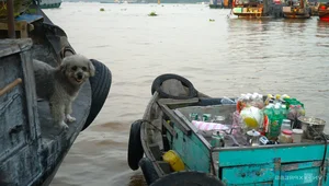 Exploring the Authentic Charm of Long Xuyen Floating Market in Vietnam - image 5