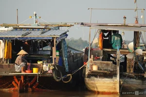 Exploring the Authentic Charm of Long Xuyen Floating Market in Vietnam - image 8