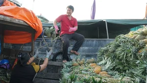 Exploring the Authentic Charm of Long Xuyen Floating Market in Vietnam - image 7