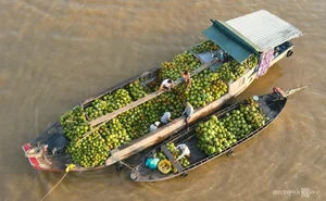 Exploring the Authentic Charm of Long Xuyen Floating Market in Vietnam - image 4