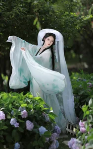 Aesthetic Harmony: YiTuYu Art Language Vol.7327 Sui Sui Ru Yi - image 1