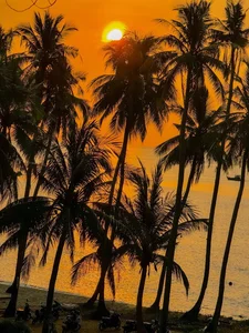 Nam Du Island: Discovering the 'Miniature Maldives' of Southern Vietnam - image 1