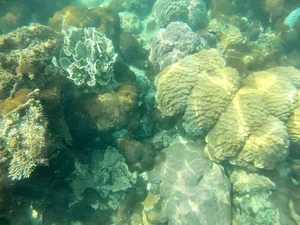 Nam Du Island: Discovering the 'Miniature Maldives' of Southern Vietnam - image 3