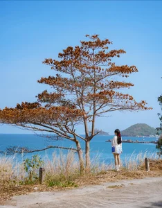 Nam Du Island: Discovering the 'Miniature Maldives' of Southern Vietnam - image 0